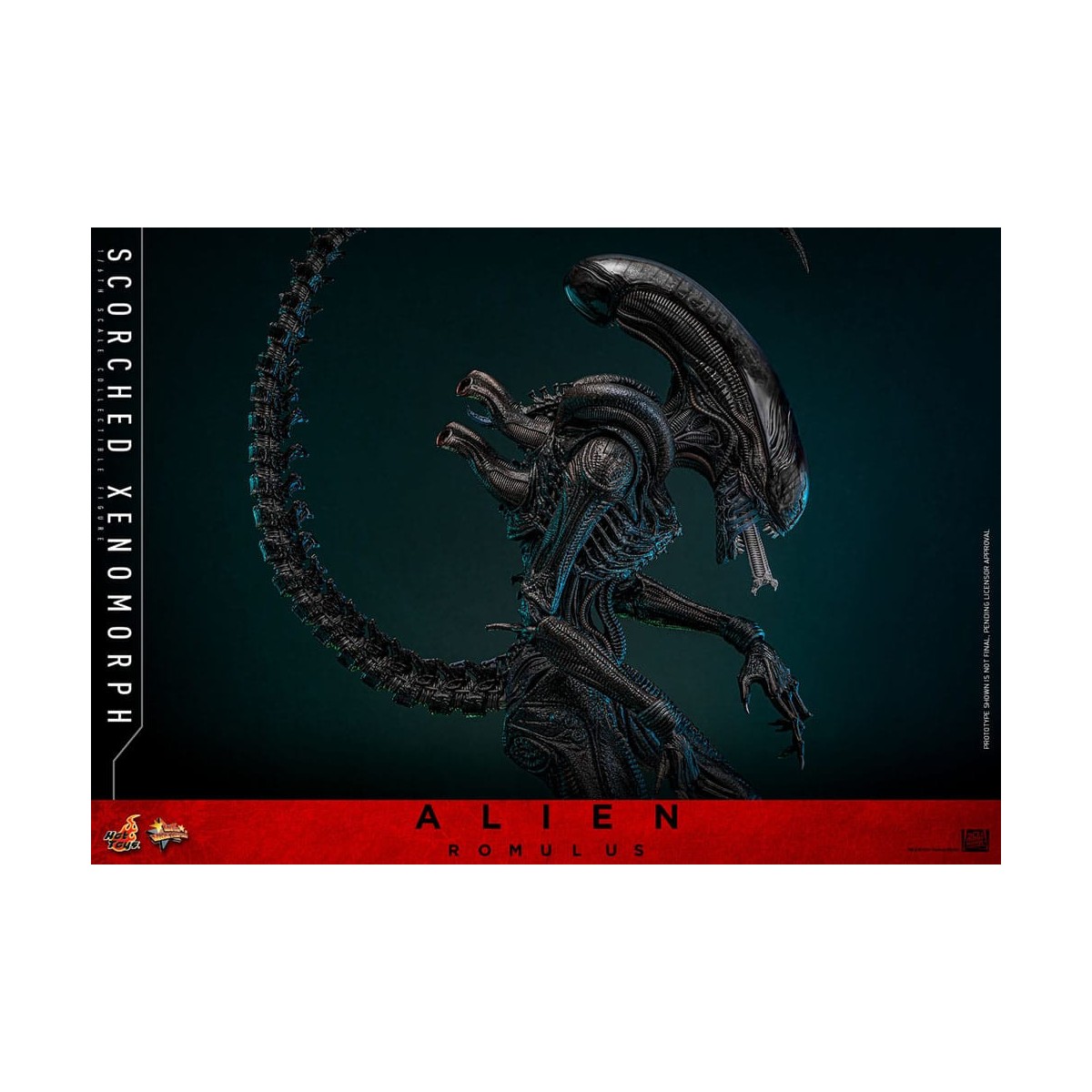 Hot Toys - Alien Romulus - Xenomorfo abrasado MMS 1/6