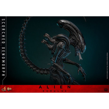 Hot Toys - Alien Romulus - Xenomorfo abrasado MMS 1/6
