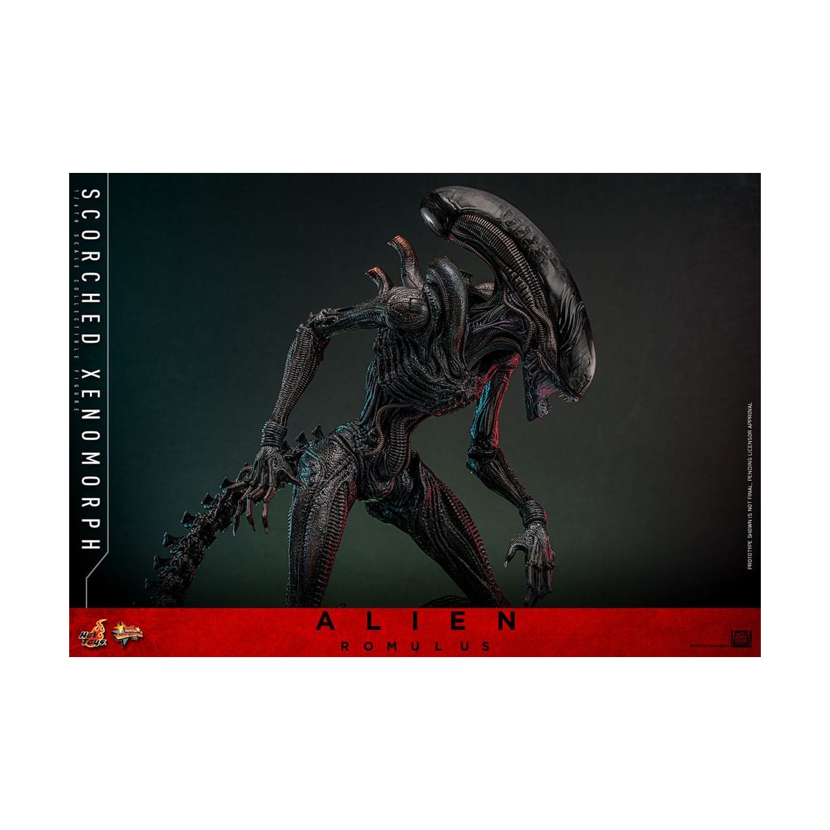 Hot Toys - Alien Romulus - Xenomorfo abrasado MMS 1/6