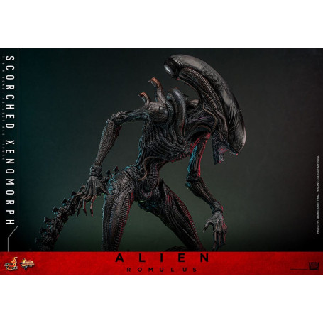Hot Toys - Alien Romulus - Xenomorfo abrasado MMS 1/6