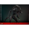 Hot Toys - Alien Romulus - Xenomorfo abrasado MMS 1/6