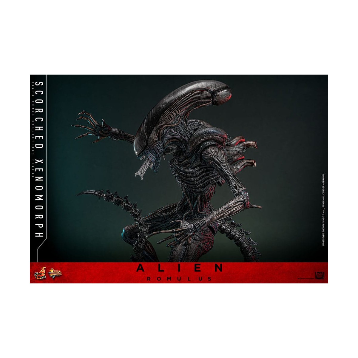 Hot Toys - Alien Romulus - Xenomorfo abrasado MMS 1/6