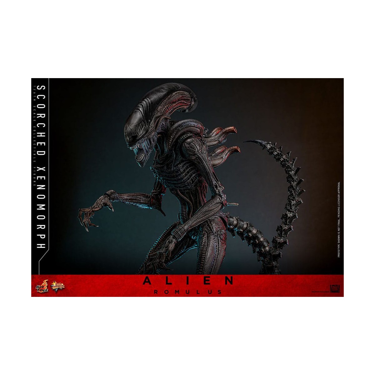 Hot Toys - Alien Romulus - Xenomorfo abrasado MMS 1/6