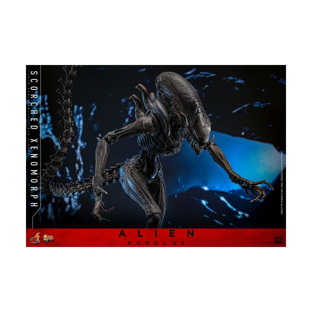 Hot Toys - Alien Romulus - Xenomorfo abrasado MMS 1/6