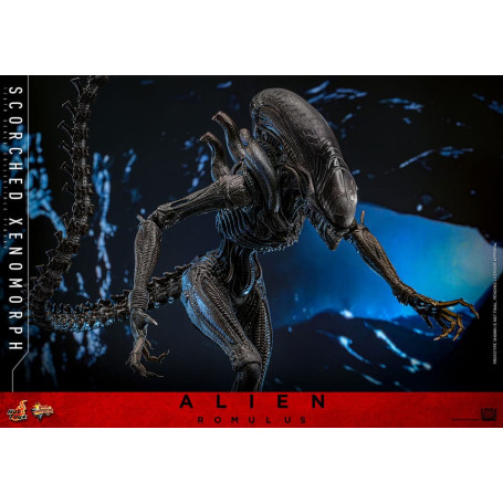 Hot Toys - Alien Romulus - Xenomorfo abrasado MMS 1/6