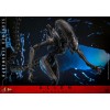 Hot Toys - Alien Romulus - Xenomorfo abrasado MMS 1/6