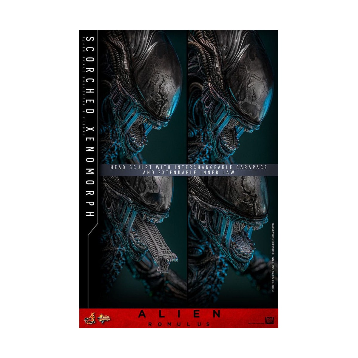 Hot Toys - Alien Romulus - Xenomorfo abrasado MMS 1/6