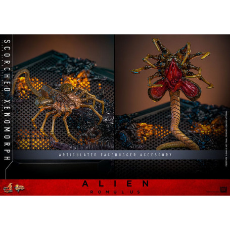 Hot Toys - Alien Romulus - Xenomorfo abrasado MMS 1/6