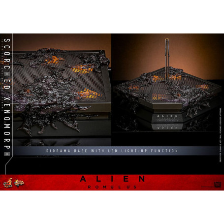 Hot Toys - Alien Romulus - Xenomorfo abrasado MMS 1/6