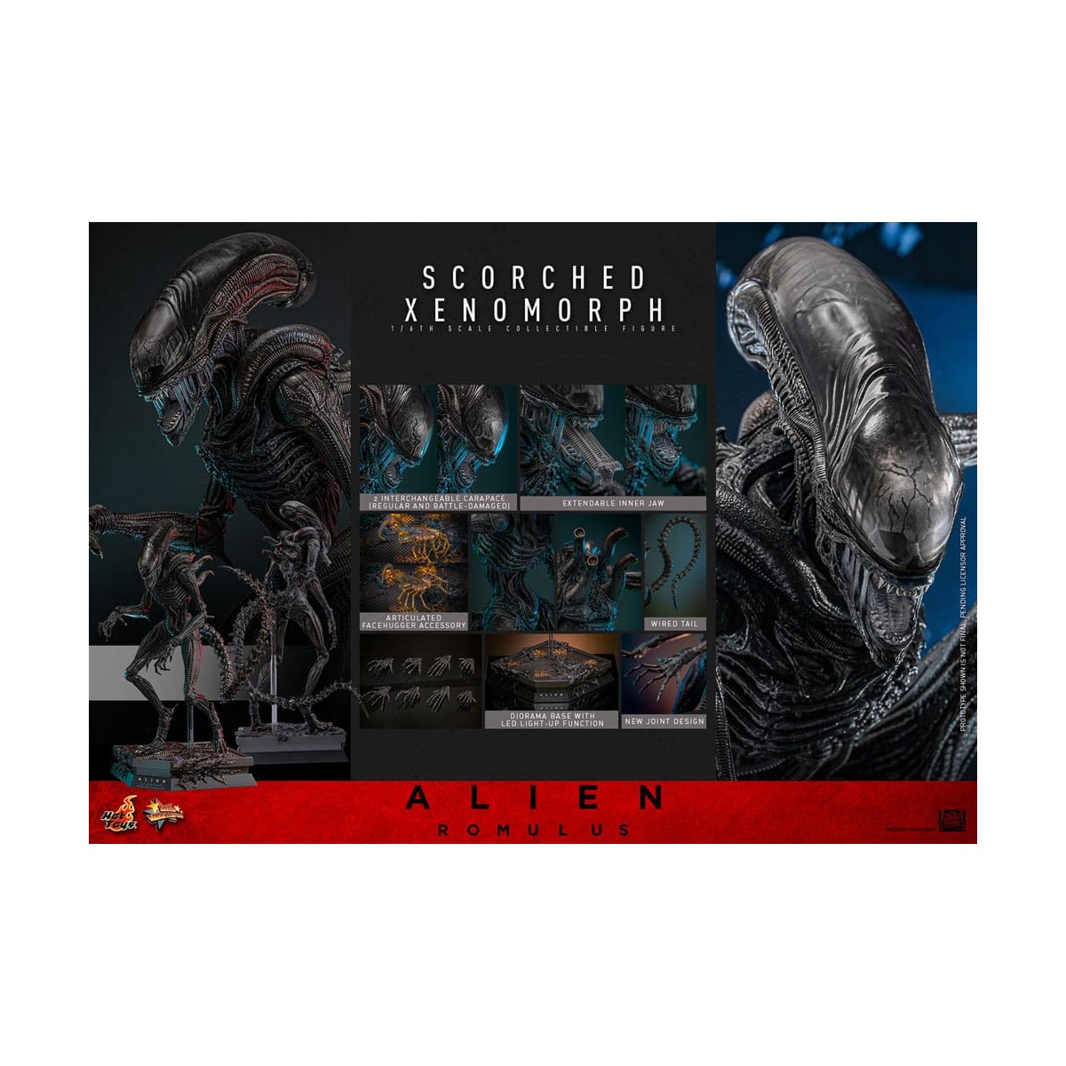 Hot Toys - Alien Romulus - Xenomorfo abrasado MMS 1/6