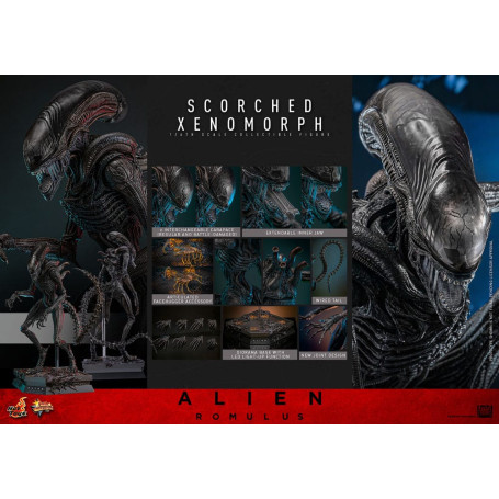 Hot Toys - Alien Romulus - Xenomorfo abrasado MMS 1/6