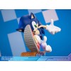 Primeras 4 figuras - Sonic the Hedgehog Edición Coleccionista - Sonic Adventure