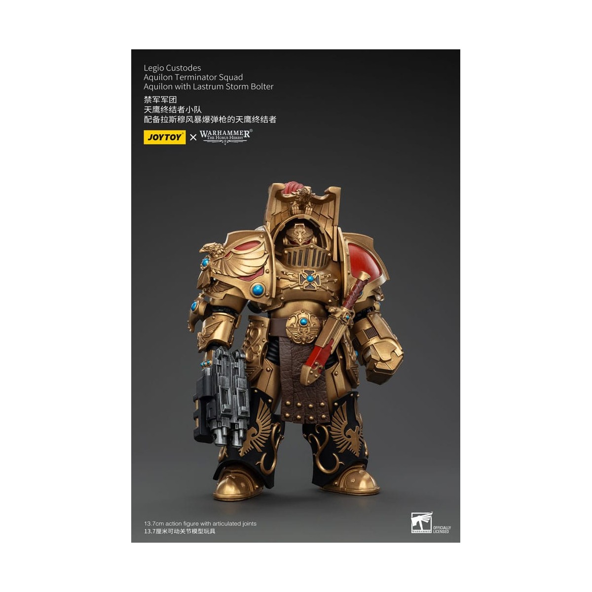 JoyToy Space Marines - Escuadra Terminator Legio Custodes Aquilon - Aquilon con Tormenta Lastrum