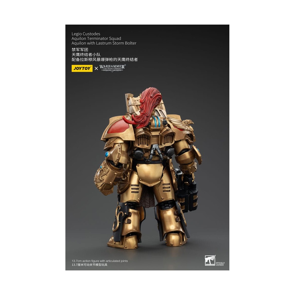 JoyToy Space Marines - Escuadra Terminator Legio Custodes Aquilon - Aquilon con Tormenta Lastrum