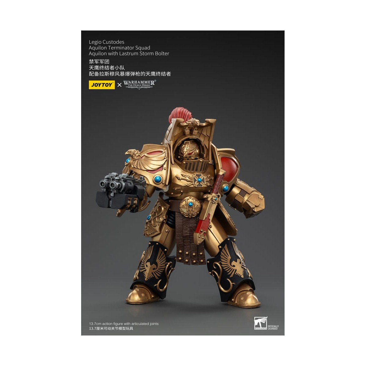 JoyToy Space Marines - Escuadra Terminator Legio Custodes Aquilon - Aquilon con Tormenta Lastrum