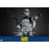 Hot Toys Star Wars - 104 Batallón Wolfpack Clone Trooper Versión Deluxe - The Clone Wars 1/6