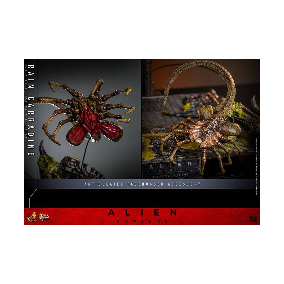 Hot Toys - Alien Romulus - Lluvia Carradine MMS 1/6