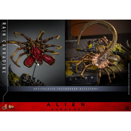 Hot Toys - Alien Romulus - Lluvia Carradine MMS 1/6