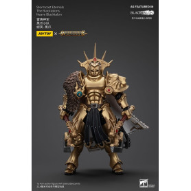 JoyToy - Stormcast Eternals Los Blacktalons - Neave Blacktalon 1/18 - Warhammer Age of Sigmar