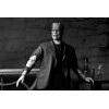 NECA - Ultimate Frankenstein's Monster (Bride of Frankenstein) Black & White Version - Monstruos Universales