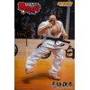 Storm Collectibles - Baki Hanma: Hijo del Ogro - DOPPO OROCHI