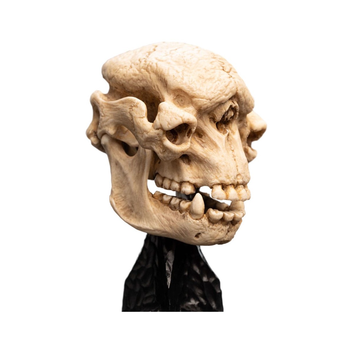 Weta - El Señor de los Anillos - Cráneo de un trol de las cavernas - LOTR