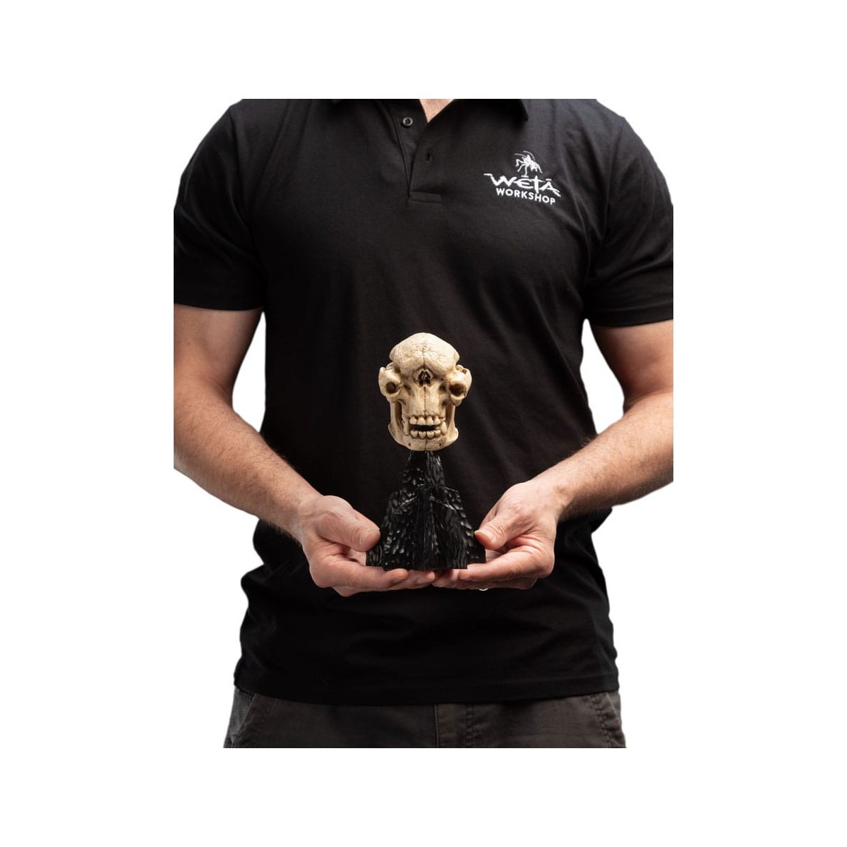 Weta - El Señor de los Anillos - Cráneo de un trol de las cavernas - LOTR