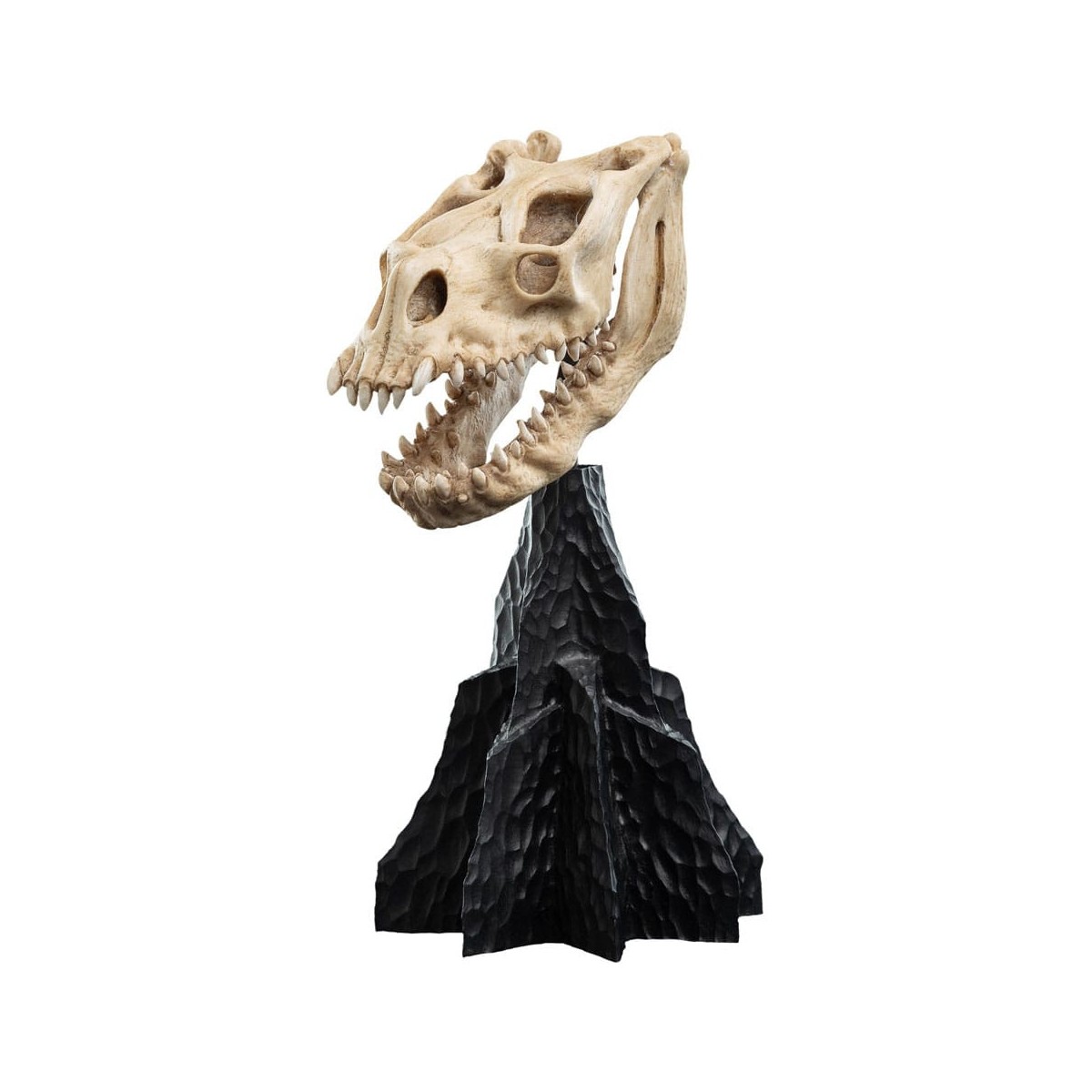 Weta - El Señor de los Anillos - Cráneo de una bestia caída - LOTR