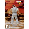 Coleccionables Storm - RYU - Street Fighter Alpha Storm Arena 1/12