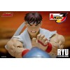 Coleccionables Storm - RYU - Street Fighter Alpha Storm Arena 1/12