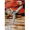 Coleccionables Storm - RYU - Street Fighter Alpha Storm Arena 1/12