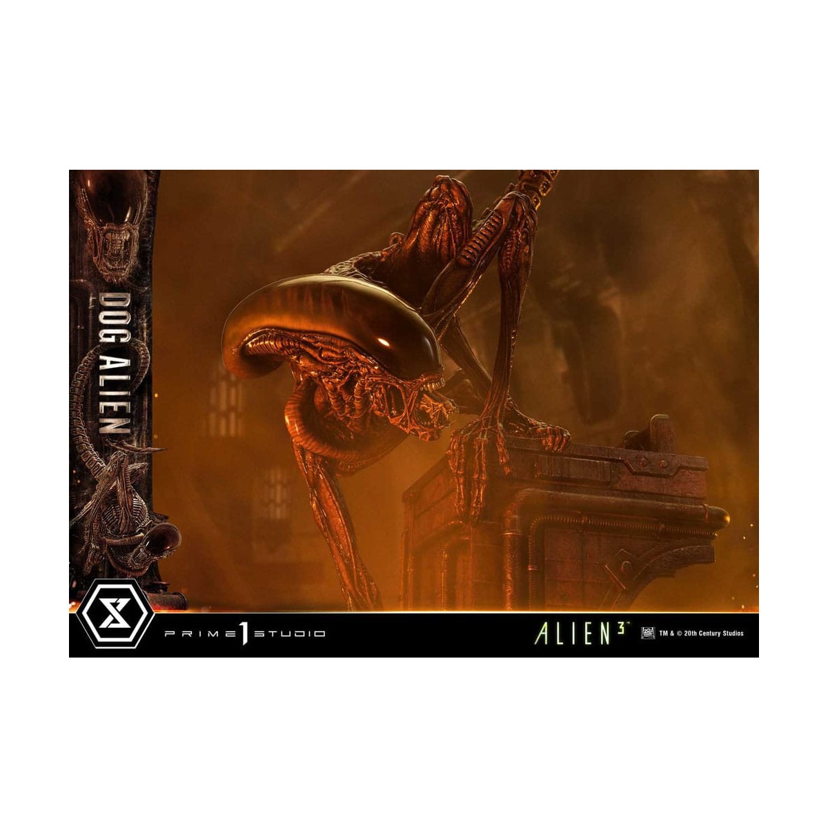 Prime 1 Studio - Perro Alien 1/3 - Museo Alien 3 Masterline XL