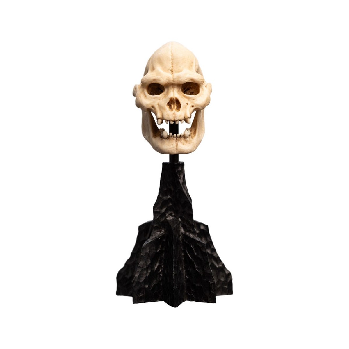 Weta - El Señor de los Anillos - Cráneo de Lurtz - LOTR