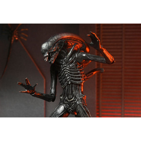 Neca - Alien: Romulus Ultimate Xenomorph XX121
