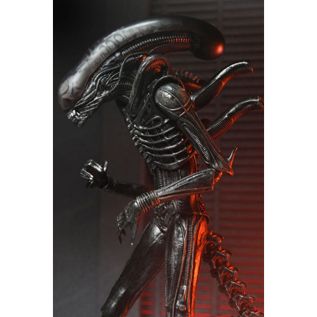 Neca - Alien: Romulus Ultimate Xenomorph XX121