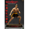 Estatua Infinita X Kaustic Plastik - Frank Dux Edición Estándar 1/6 -Bloodsport