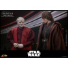 Hot Toys Star Wars figura 1/6 Darth Nihilus 31 cm