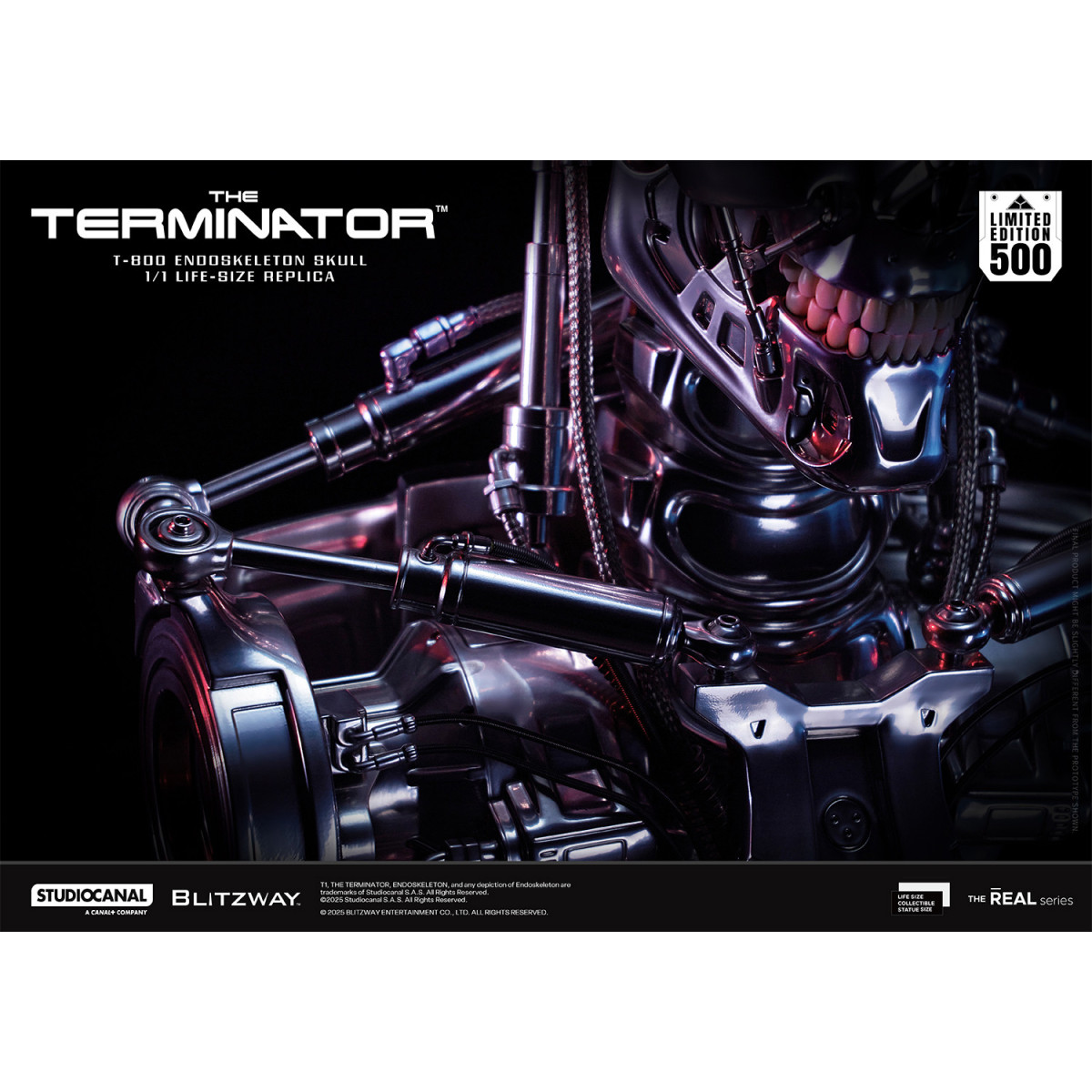 Blitzway - T800 Cráneo Endoesqueleto 1/1 Tamaño Natural - The Terminator