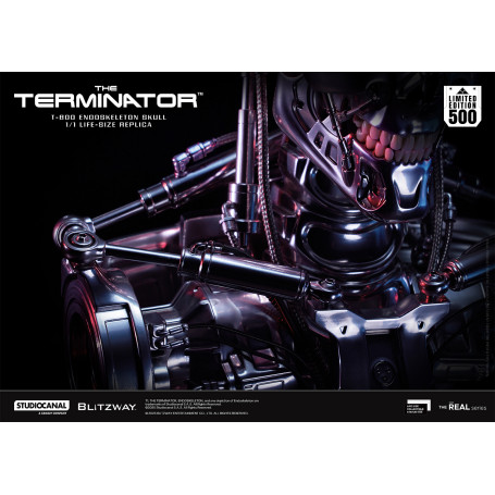 Blitzway - T800 Cráneo Endoesqueleto 1/1 Tamaño Natural - The Terminator