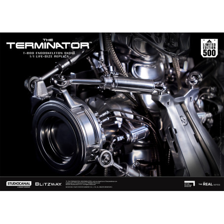 Blitzway - T800 Cráneo Endoesqueleto 1/1 Tamaño Natural - The Terminator