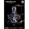 Blitzway - T800 Cráneo Endoesqueleto 1/1 Tamaño Natural - The Terminator