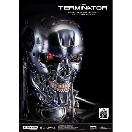 Blitzway - T800 Cráneo Endoesqueleto 1/1 Tamaño Natural - The Terminator