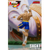 Storm Collectibles - SAGAT - Street Fighter Alpha Storm Arena 1/12