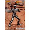Storm Collectibles - SKULLOMANIA - LUCHA EX LAYER
