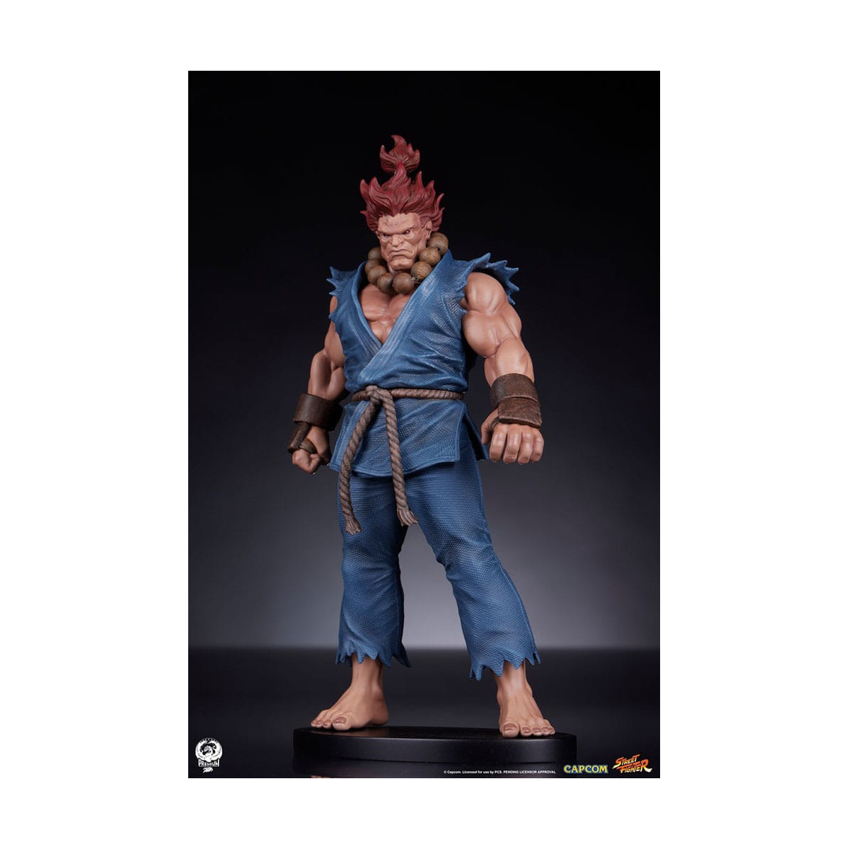PCS - Street Fighter: Street Jam - Akuma y Dhalsim Juego de estatuas a escala 1:10