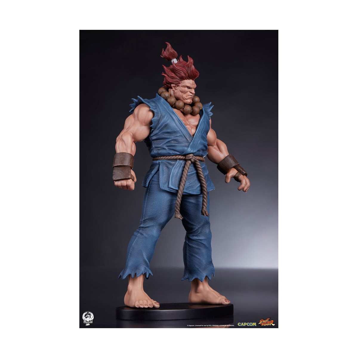 PCS - Street Fighter: Street Jam - Akuma y Dhalsim Juego de estatuas a escala 1:10