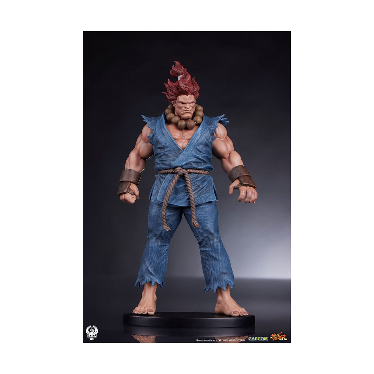 PCS - Street Fighter: Street Jam - Akuma y Dhalsim Juego de estatuas a escala 1:10