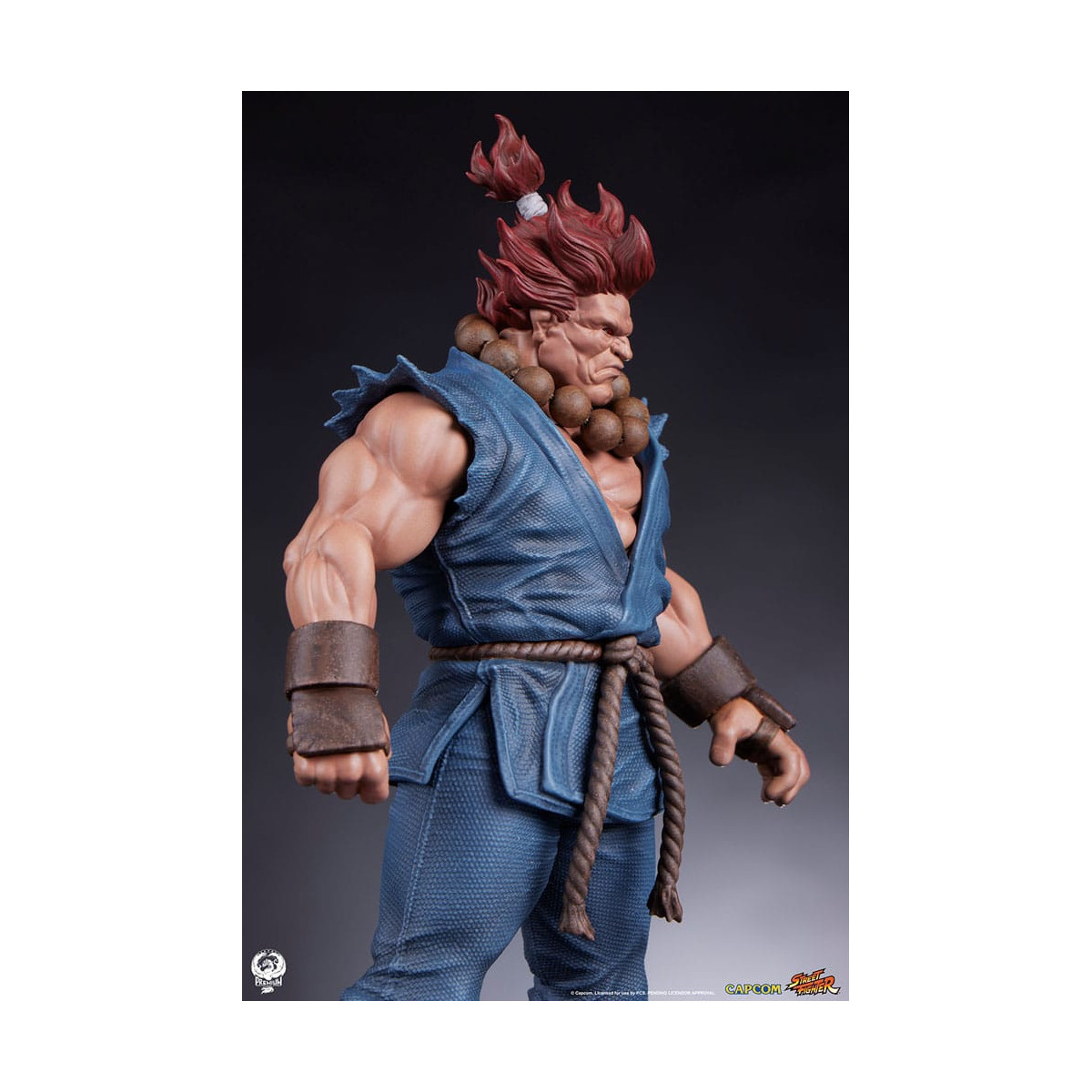 PCS - Street Fighter: Street Jam - Akuma y Dhalsim Juego de estatuas a escala 1:10