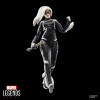 Marvel Legends - Marvel Gamerverse - Gata Negra Felicia Hardy