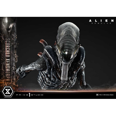 Prime 1 Studio - Scorched Xenomorph DX Bonus Version 1/3 - Alien: Romulus Museum Masterline XL